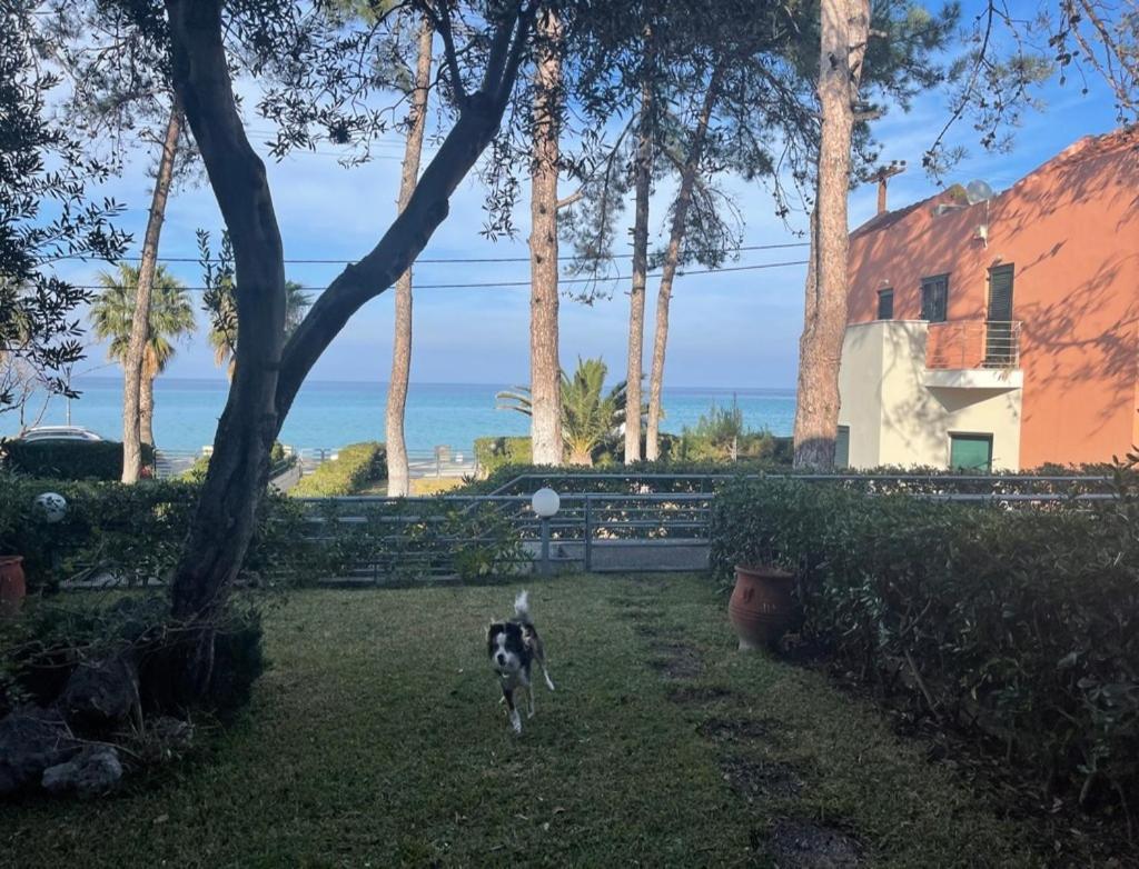 Stay At Beachfront Villa Lilia In Pefkohori, Halkidiki For A Dreamy Vacation Exterior photo